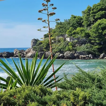 Corfu Dream Holidays Διαμέρισμα *