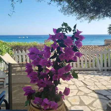 Apartment Corfu Dream Holidays