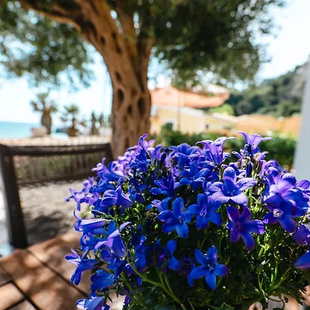 Apartament Corfu Dream Holidays Glifada